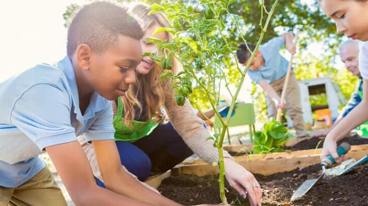 Connections Academy students planting a garden together